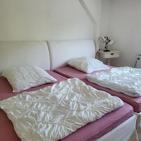 Apartament Elbblick Königstein an der Elbe Zewnętrze zdjęcie