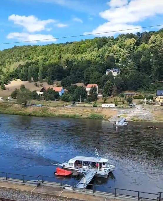 Apartament Elbblick Königstein an der Elbe Zewnętrze zdjęcie