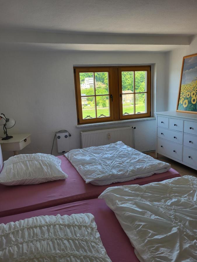 Apartament Elbblick Königstein an der Elbe Zewnętrze zdjęcie